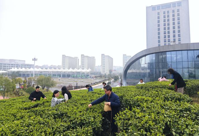 新闻配图